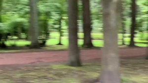 Санкт Петербург. Парк Зенит-Арена. Обзор