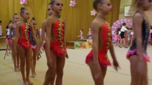 Видео с соревнований по эстетической и художественной гимнастике Ковров, ноябрь 2015