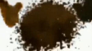 Казуал зашёл в БЕЗУМНУЮ PVZ | PVZ Brutal EX