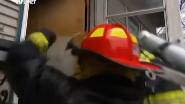 Лаперм 101kote.ru La perm 101cats смотреть онлайн