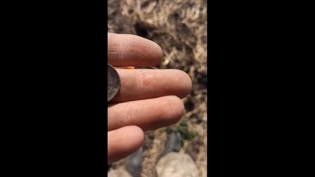 Вышел покапаться с Rutus Ultima!