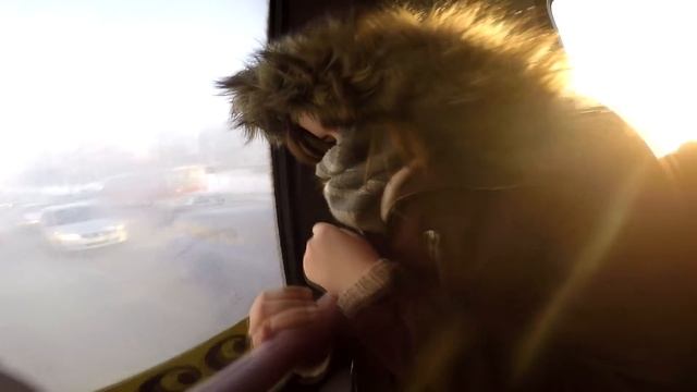 Влог: Эпиляция ноздрей, едем на хату и буйный кондуктор смотреть онлайн