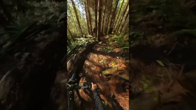 #mtb #bicycle #riding