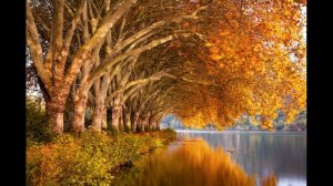 Валерий Белянский. Осенние тетради. Ч. 5