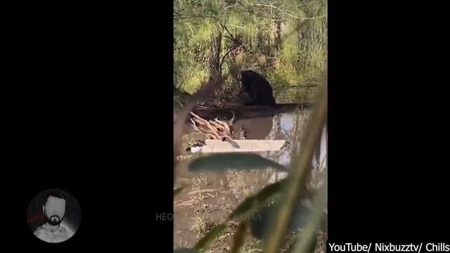 ЛЮДИ! Вы Просто Должны Увидеть Эти Страшные Видео