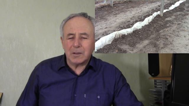 @Когда открывать виноград после зимы. Где садить виноград? смотреть онлайн