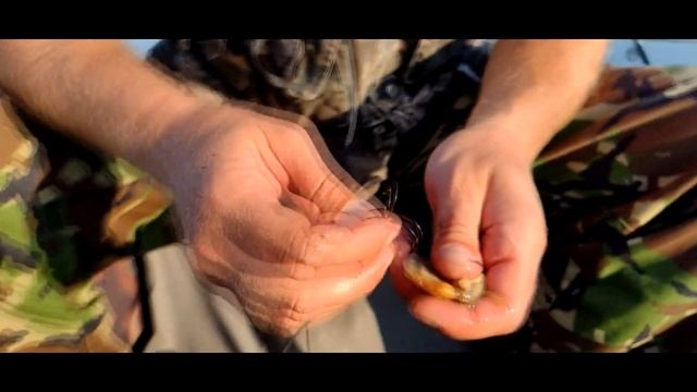 ЛОВЛЯ СОМА НА КВОК / НЕУЛОВИМЫЙ СОМ ПОЙМАН / рыбалка в Киеве / ловля сома на ракушку ( беззубка ) смотреть онлайн