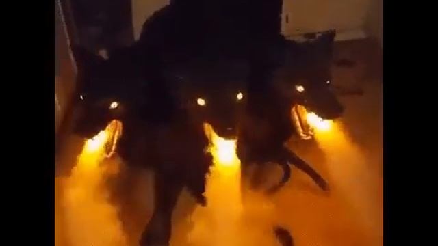 ~ВКонтакте~ Это светильник и освежитель воздуха!!!! АФИГЕТЬ! смотреть онлайн