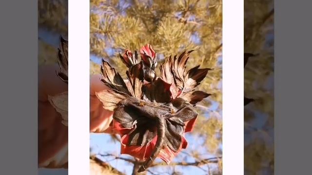 Брошь из кожи. Староанглийская роза. смотреть онлайн