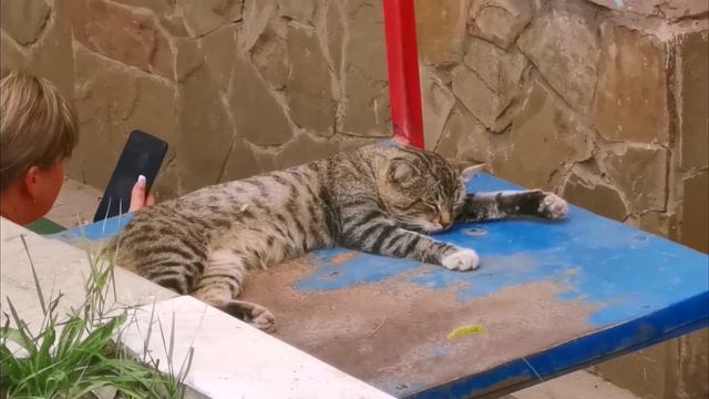 Мариуполь Насколько он Изменился за год& Восстановление и жизнь города сегодня