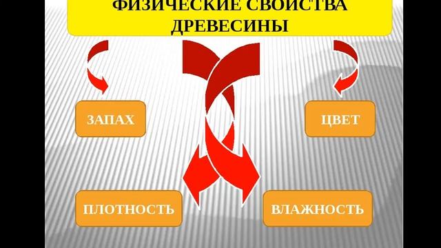 Материаловедение. 211 гр. 3.04.2023. Древесина и древесные материалы.
