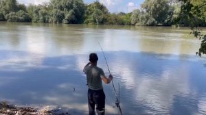КЛЁВОЕ МЕСТО НА РЕКЕ КУБАНЬ. ОТЛИЧНЫЙ РЕЗУЛЬТАТ ЛОВЛИ НА ДОНКУ И УДОЧКУ!