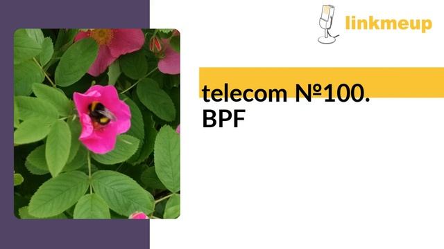 telecom №100. BPF смотреть онлайн