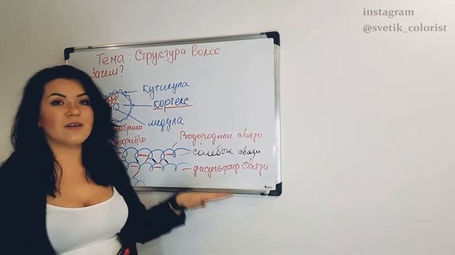 Строение волоса. Колористика с нуля. Урок 1
