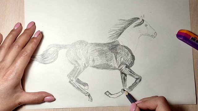 АСМР. Рисование лошади. ASMR drawing horse.