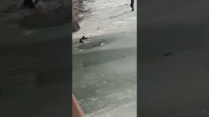 Труп в мордово. Река битюг