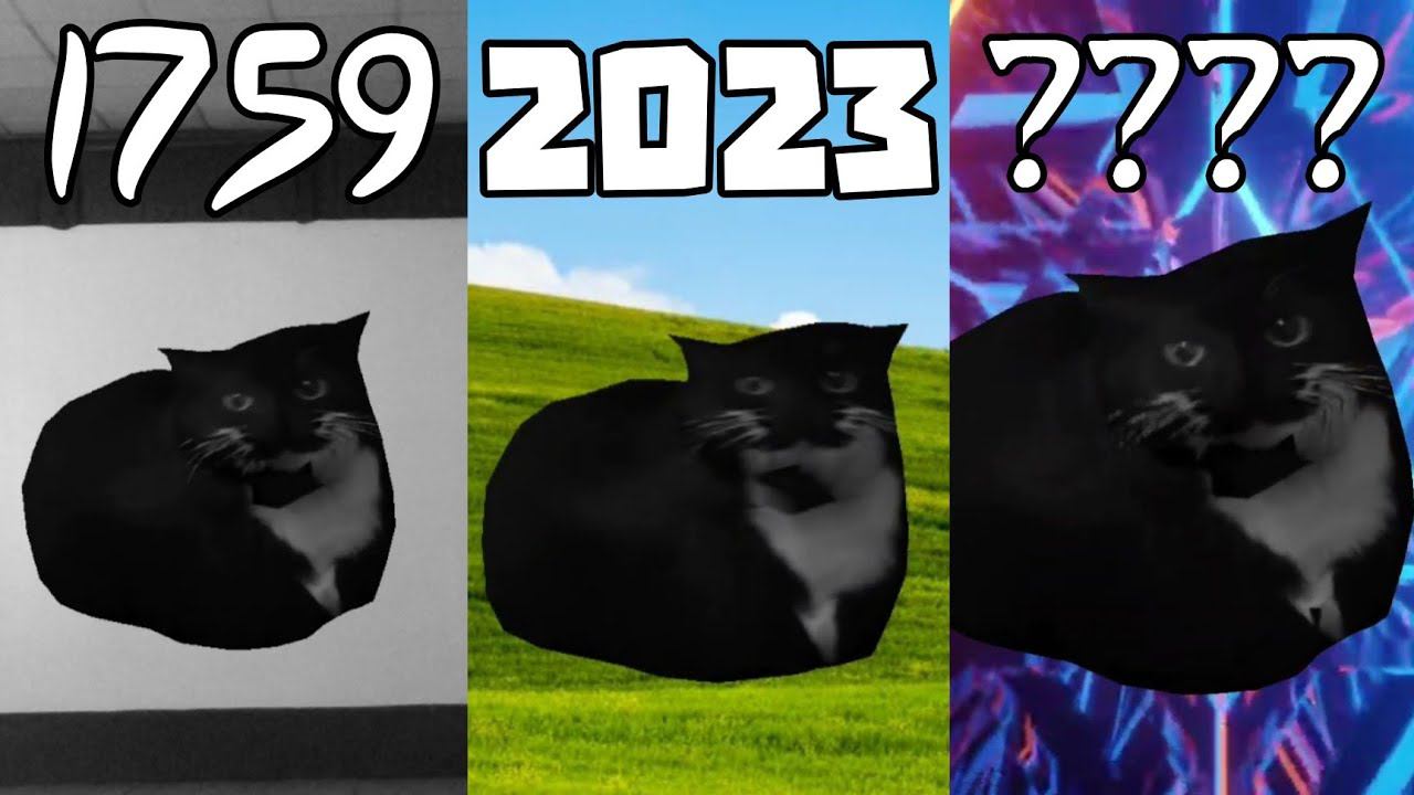 Maxwell cat dance in different times смотреть онлайн