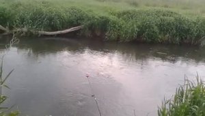 Рыбалка на реке Ольховка Луганск 20.05.2018.