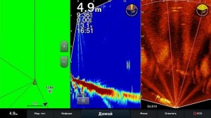 Сазаны на Лайвскопе ...видно зачетно! Garmin LiveScope