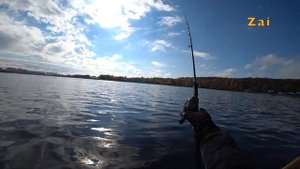 Ловля щуки на КРУПНУЮ резину и тяжелые БЛЕСНЫ.