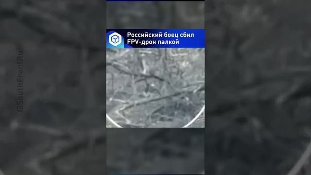 Российский боец сбил FPV-дрон палкой