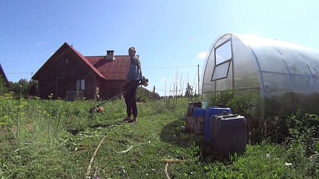 Убираю траву во дворе,кошу траву .