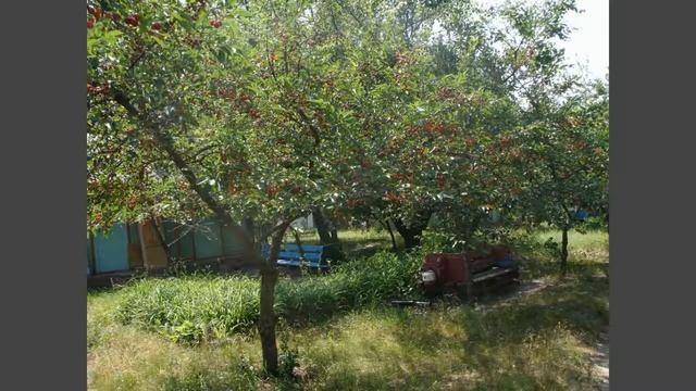 Участок 0.87га с домиками для отдыха, с. Мартовое, Печенеги, Харьковская обл. смотреть онлайн