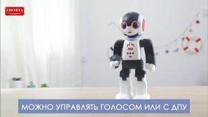 ZHORYA TOYS ZY1090565 Интерактивный робот ШУНТИК ZYI-I0018