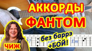 Фантом Аккорды ? Чиж Сергей Чиграков ♪ Разбор песни на гитаре ♫ Гитарный Бой