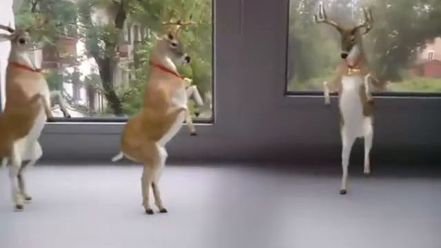 Олени танцуют на окне) смотреть онлайн