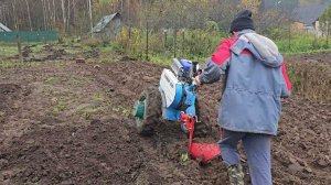 Нева МБ-23 Мультиагро. Вспашка 22.10.23