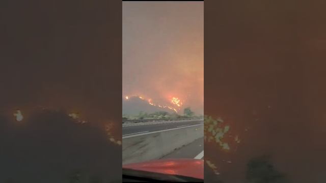 ⚡В Чили объявлен режим ЧС из-за лесных пожаров. 

Жертвами стихии уже стало не менее 10 человек.