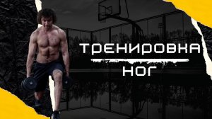 Тренировка ног