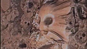 Backrooms Solo Exploration