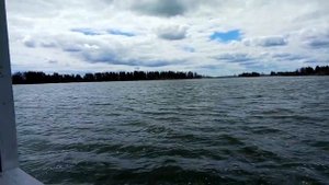 ГУСЕЛЕТОВСКИЕ ПЛЕСЫ. НЕЗАБЫВАЕМЫЕ ВПЕЧАТЛЕНИЯ (1)