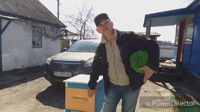 Почему леток на север... смотреть онлайн