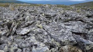 Северный  Урал. Курумник.