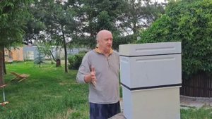 Связан ли неприятный запах от мёда с ульями из пенополистирола?