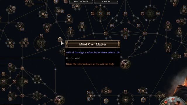 Squeeze an EXTRA AURA in - Path of Exile | Divine Blessing Support