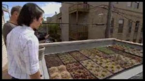 Лучшие экологические дома мира-4