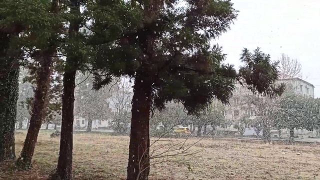 20 01 2021 снег идет Бывшая Турбаза КЗакВО ул Руставели Кобулети Видео Артур Мартиросян Грузия смотреть онлайн