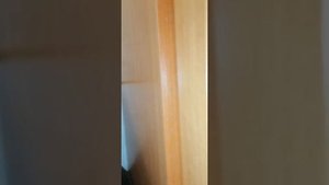 Тараканы в квартире