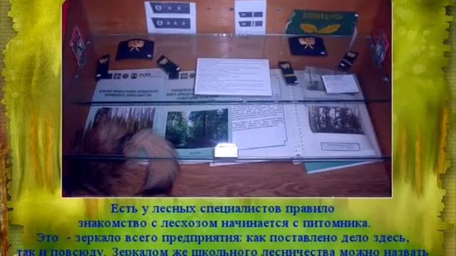 Лес наше богатство смотреть онлайн