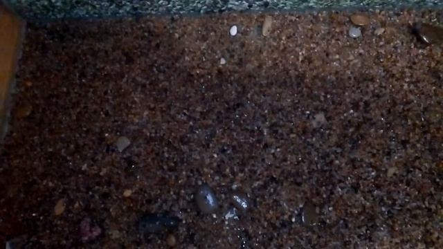 Запуск аквариума на 280литров, без химии Часть 1 смотреть онлайн