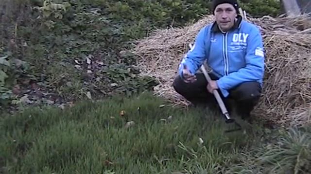 Картошка зимой смотреть онлайн