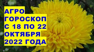 Агрогороскоп с 18 по 22 октября 2022 года