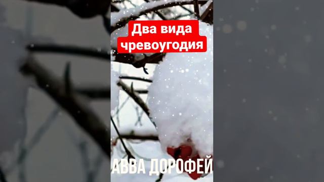 Два вида чревоугодия - АВВА Доровей #молитва #православие #православный #болезни