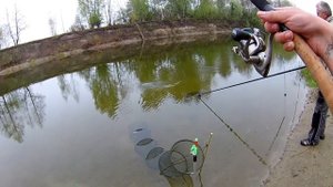 Рыбалка с ночёвкой на реке Сейм .