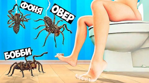 ОПАСНЫЕ ПАУКИ В ТУАЛЕТЕ