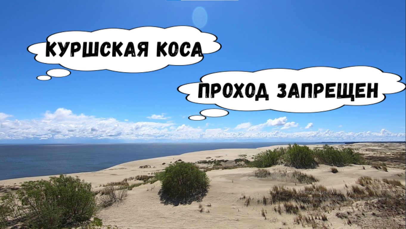 КУРШСКАЯ КОСА. ПРОХОД ЗАПРЕЩЕН.... #калининград #путешествия #travel #туризм #куршскаякоса